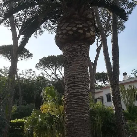 Iscla Oda ve Kahvaltı